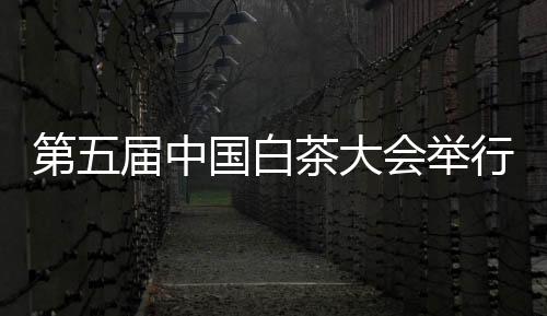 【】中国开展茶旅研学等活动