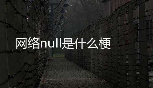 【】网络null是什梗什么意思