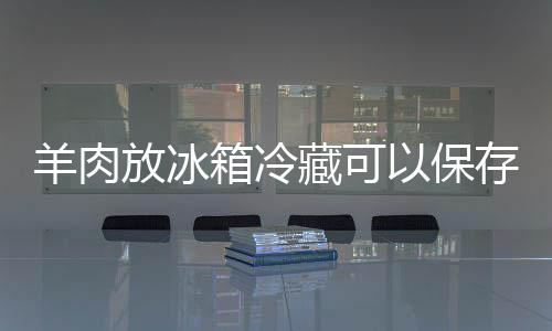 【】放冰已经把羊肉放冰箱了