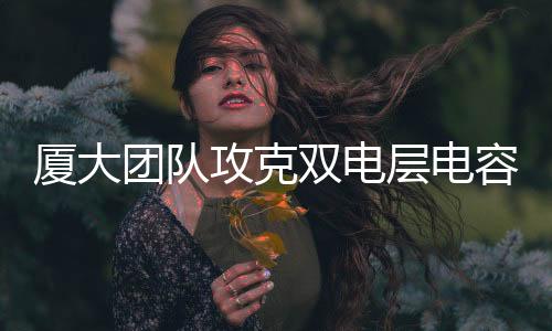 【】双电电荷存储容量有限