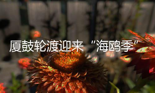 【】&ldquo;再过一个月左右