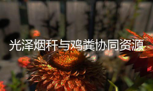 【】一致同意通过项目验收