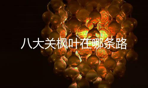 【】条路位于该市市南区海滨