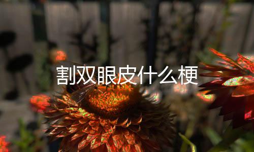 【】公司员工的割双待遇非常不错