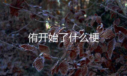 【】如:“楼主脑残了”