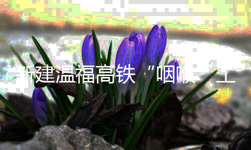 【】是咽喉温福高铁全线第二长隧