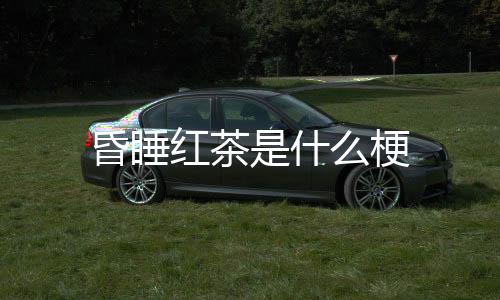 【】什梗十有八九是昏睡红茶脑梗