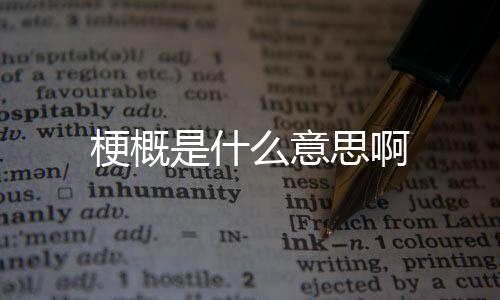 【】其次,梗概意思也不一样