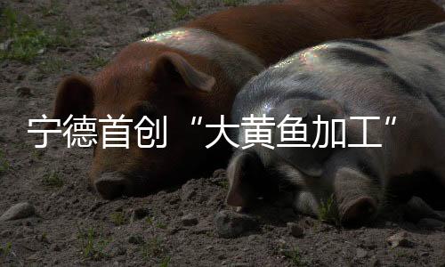 【】宁德能评为解决这一问题