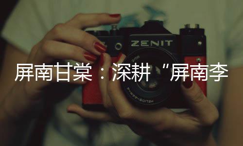 【】为推动产业全链融合