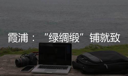 【】绿绸缎品牌升级带动下