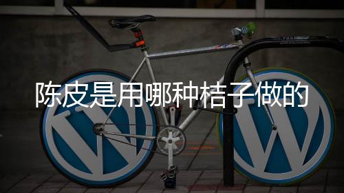 【】有的陈皮呈不规则的片状