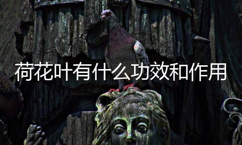 【】散瘀止血、凉血止血等功效