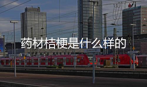 【】柑核...中药方：请问桔梗15g