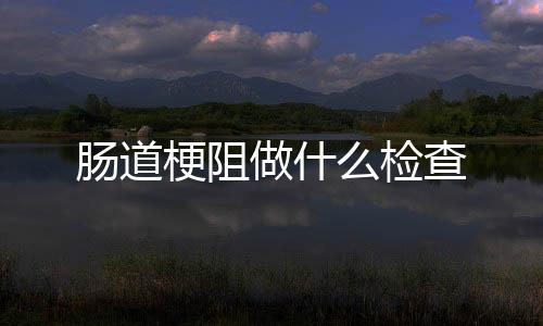 【】...狗狗呕吐、肠道拉稀