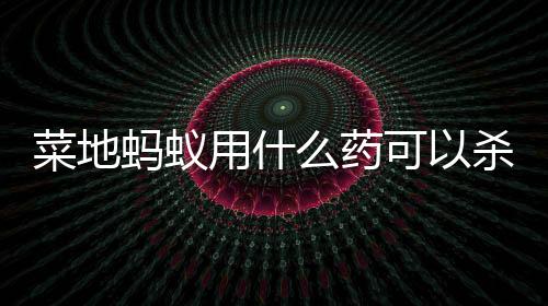 【】导致蚂蚁脱水和死亡