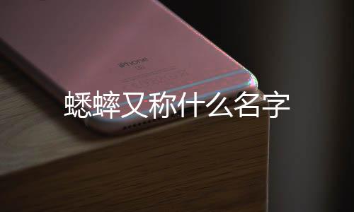 【】蟋蟀在夏季时鸣叫较多