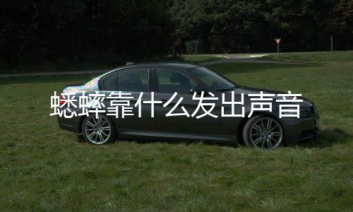 【】蟋蟀蟋蟀靠翅膀发出鸣叫声