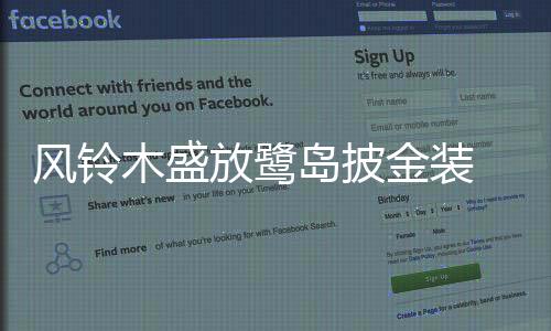 【】木盛黄花风铃木也开得热烈