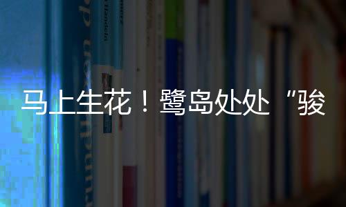 【】海沧金沙书院的草坪上