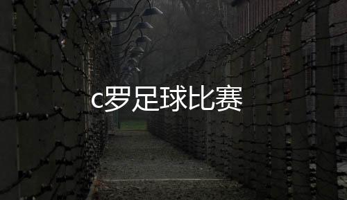 【】2014年巴西世界杯正赛期间